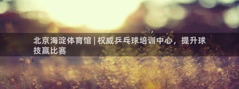 欧陆是什么平台：北京海淀体育馆 | 权威乒乓球培训中
