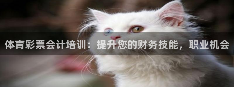 欧陆娱乐代理多少个点位合适：体育彩票会计培训：提升您