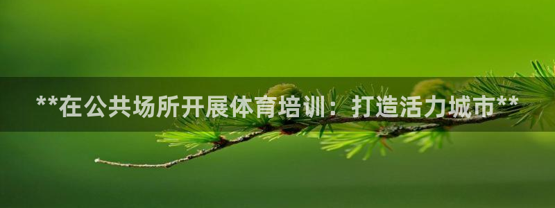 欧陆娱乐注册平台：**在公共场所开展体育培训：打造活