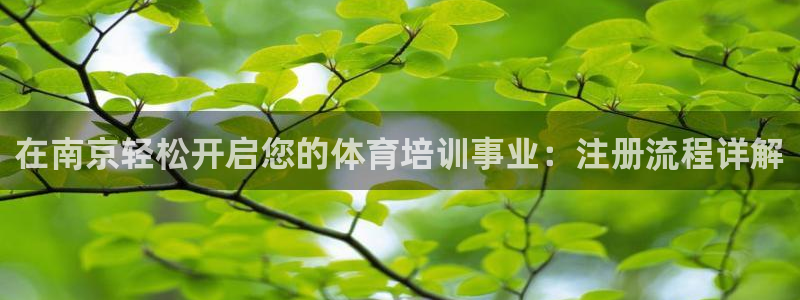欧陆娱乐挂机项目：在南京轻松开启您的体育培训事业：注