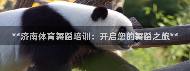 欧陆官网下载：**济南体育舞蹈培训：开启您的舞蹈之旅