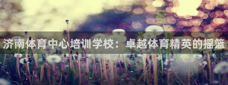 欧陆娱乐测速：济南体育中心培训学校：卓越体育精英的摇