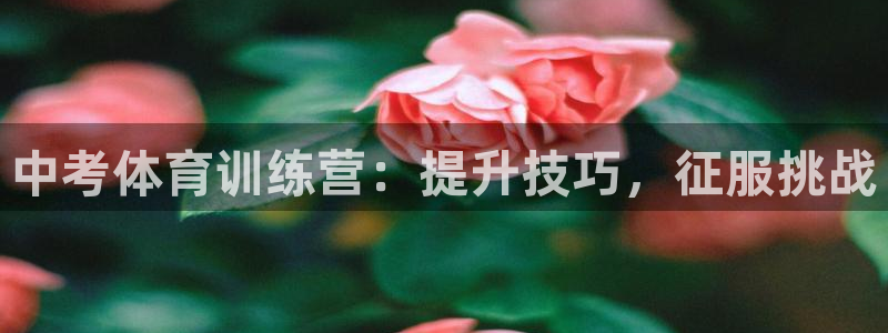 欧陆娱乐平台登录：中考体育训练营：提升技巧，征服挑战