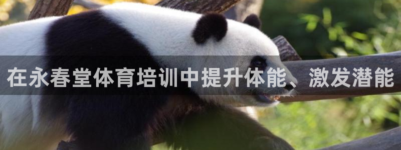欧陆娱乐官方下载安装：在永春堂体育培训中提升体能、激