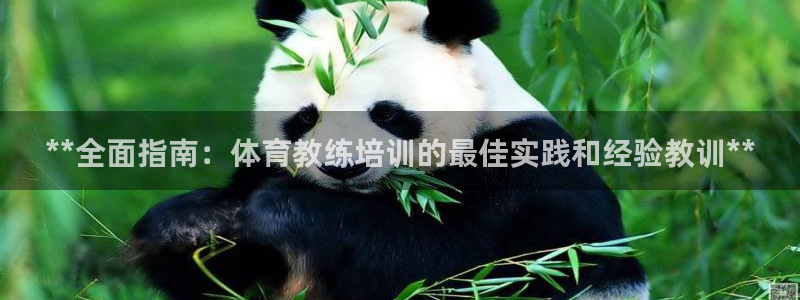 欧陆娱乐代理多少个点位：**全面指南：体育教练培训的
