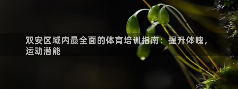 欧陆娱乐计划预测软件哪个好：双安区域内最全面的体育培