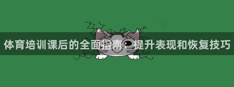 欧陆娱乐挂机怎么玩游戏：体育培训课后的全面指南：提升