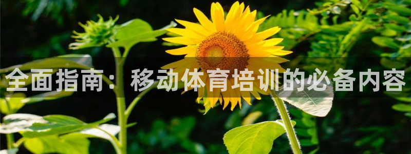 欧陆娱乐稳中：全面指南：移动体育培训的必备内容