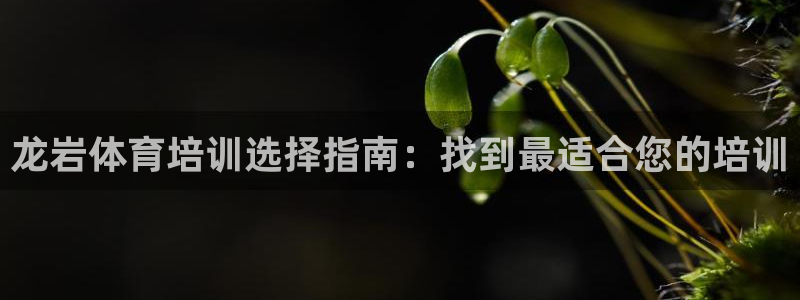 欧陆娱乐代理 贴吧怎么样：龙岩体育培训选择指南：找到