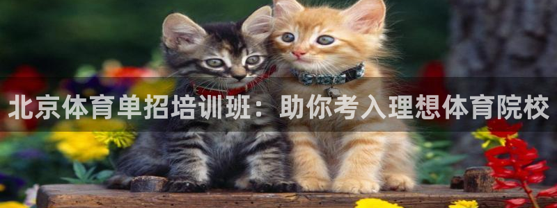 欧陆娱乐官方网站首页：北京体育单招培训班：助你考入理