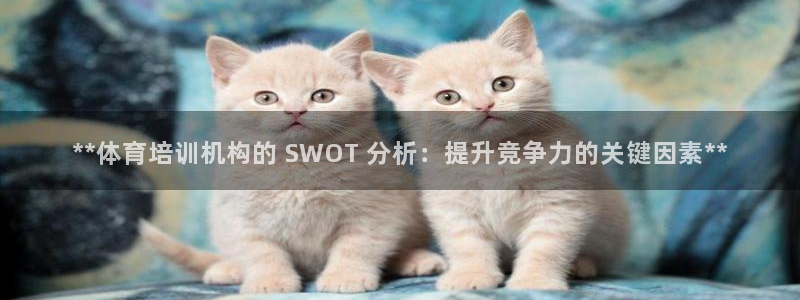 欧陆娱乐是干什么的：**体育培训机构的 SWOT 分