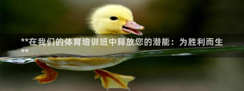 欧陆娱乐计划app官方正版安装下载：**在我们的体育