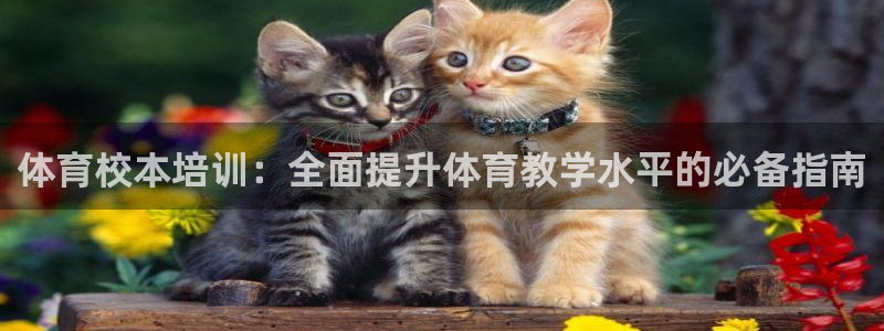 欧陆娱乐app打不开怎么回事：体育校本培训：全面提升