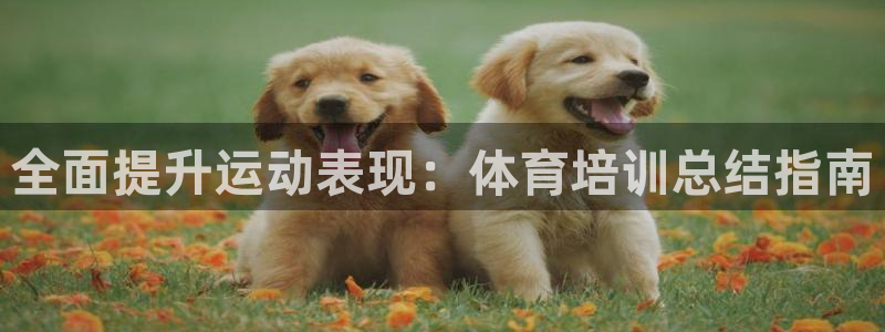 欧陆娱乐官网注册中心：全面提升运动表现：体育培训总结