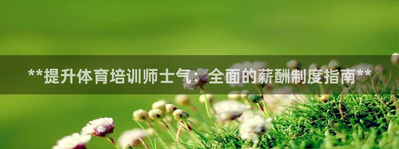 欧陆娱乐测试：**提升体育培训师士气：全面的薪酬制度