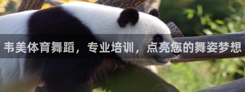 欧陆娱乐欢迎访问：韦美体育舞蹈，专业培训，点亮您的舞