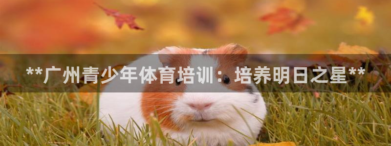 欧陆娱乐百科：**广州青少年体育培训：培养明日之星*