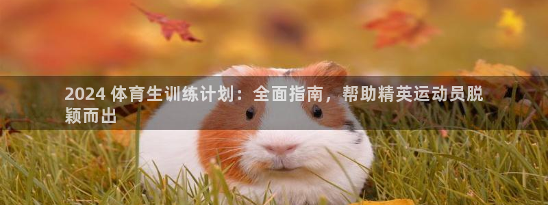 欧陆娱乐登录测速软件：2024 体育生训练计划：全面
