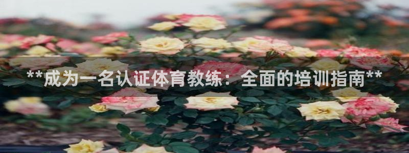 欧陆娱乐有限公司招聘：**成为一名认证体育教练：全面