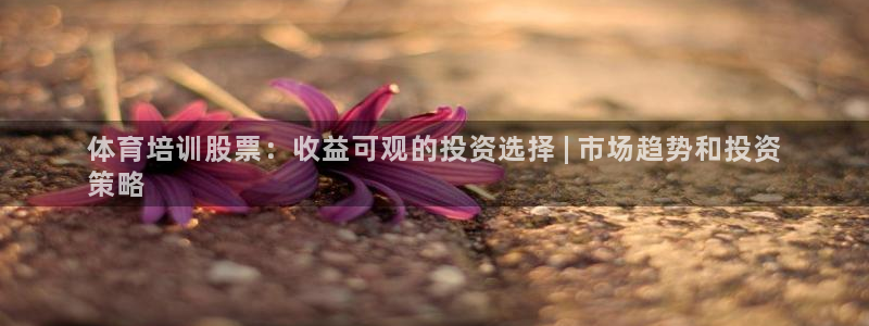 欧陆娱乐会员有什么用：体育培训股票：收益可观的投资选