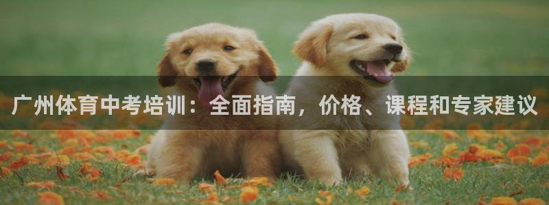 欧陆娱乐合法吗：广州体育中考培训：全面指南，价格、课