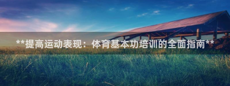 欧陆娱乐平台登录不上去了：**提高运动表现：体育基本