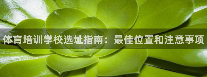 欧陆娱乐信誉吗：体育培训学校选址指南：最佳位置和注意