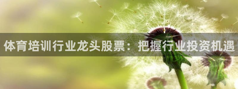 欧陆娱乐合法吗：体育培训行业龙头股票：把握行业投资机