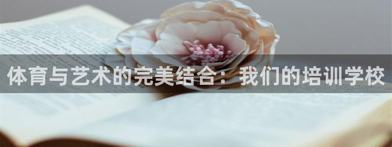 欧陆娱乐里面怎么看打排五：体育与艺术的完美结合：我们