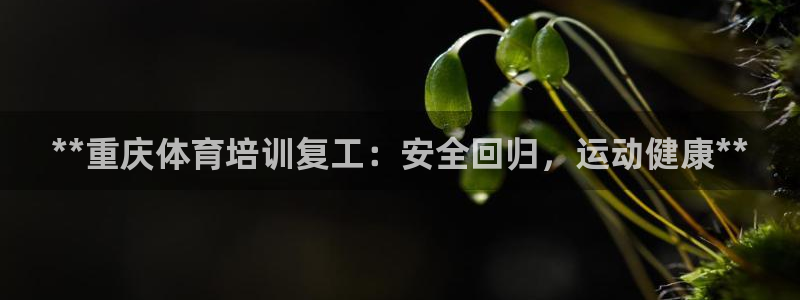 欧陆娱乐能提现嘛现在：**重庆体育培训复工：安全回归