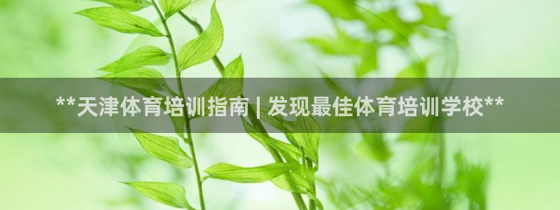 欧陆娱乐客服服务：**天津体育培训指南 | 发现最佳