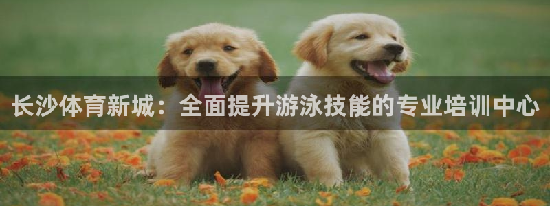 欧陆娱乐挂机怎么玩：长沙体育新城：全面提升游泳技能的