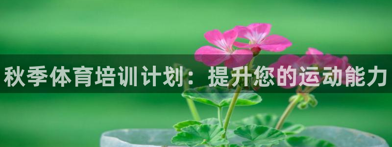 欧陆是什么平台：秋季体育培训计划：提升您的运动能力