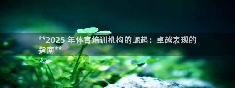 欧陆娱乐信誉吗：**2025 年体育培训机构的崛起：卓越表现