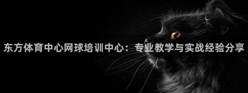 欧陆娱乐出款了吗：东方体育中心网球培训中心：专业教学与实战经