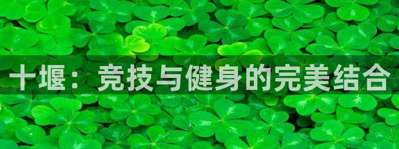 欧陆娱乐官方网站下载：十堰：竞技与健身的完美结合