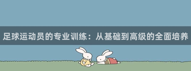 欧陆娱乐群里怎么进：足球运动员的专业训练：从基础到高