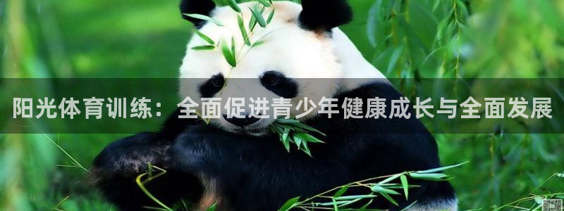 欧陆娱乐挂机怎么玩游戏：阳光体育训练：全面促进青少年